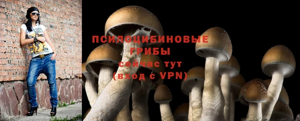 apvp Балахна